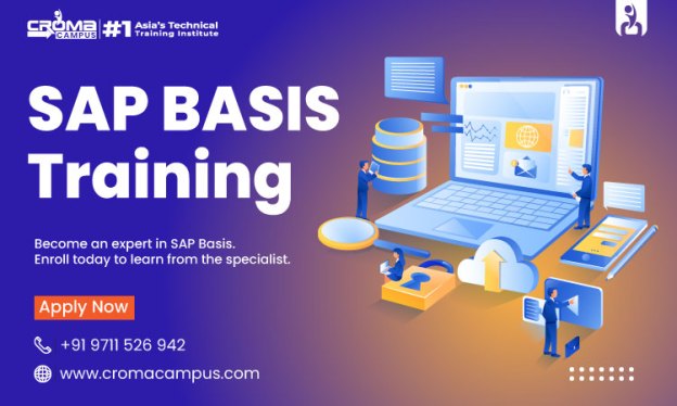 What Are The Top Job Opportunities After Learning SAP BASIS?